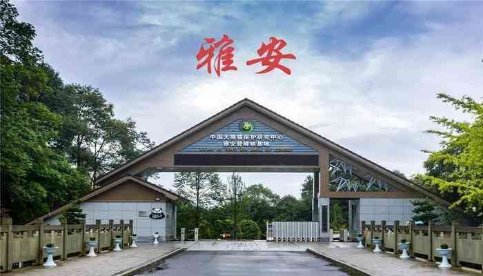 雅安