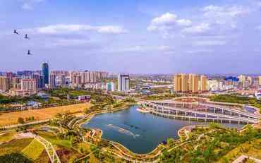 庆阳教育新篇章：学工一体化系统的本地化实践与高性价比之选