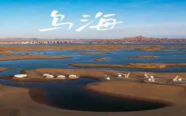 乌海智慧校园系统实践：高效学生管理的新标杆