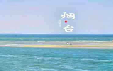 烟台实习管理新实践：定制化平台助力校企无缝衔接