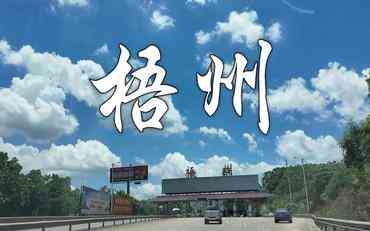 梧州实习管理平台应用指南：如何选到适合本地需求的实习系统?